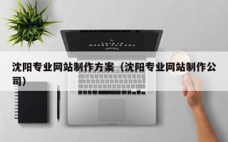 中山沈阳专业网站制作方案（沈阳专业网站制作公司）